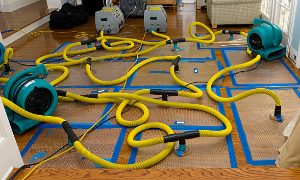 Professional Burst Pipe Water Damage technician working in East Dixfield, ME
